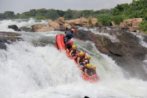 8 Days Wildlife and Water Rafting Uganda Safari